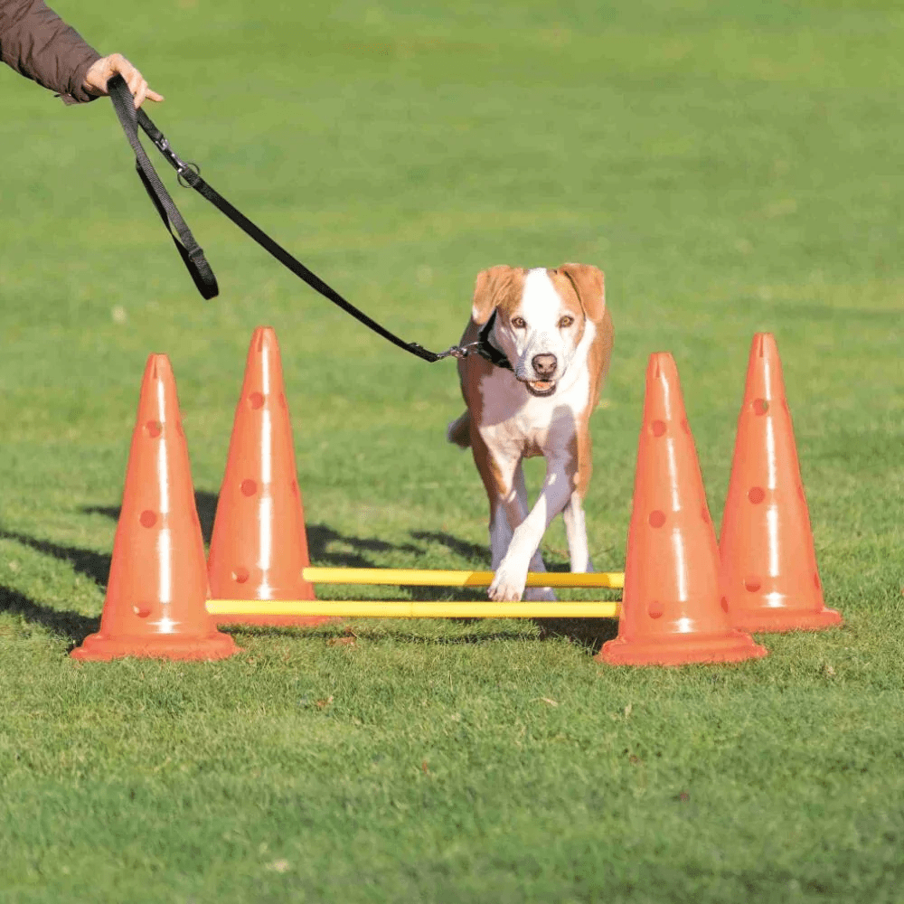 Trixie Dog Agility Obstacles for Dogs