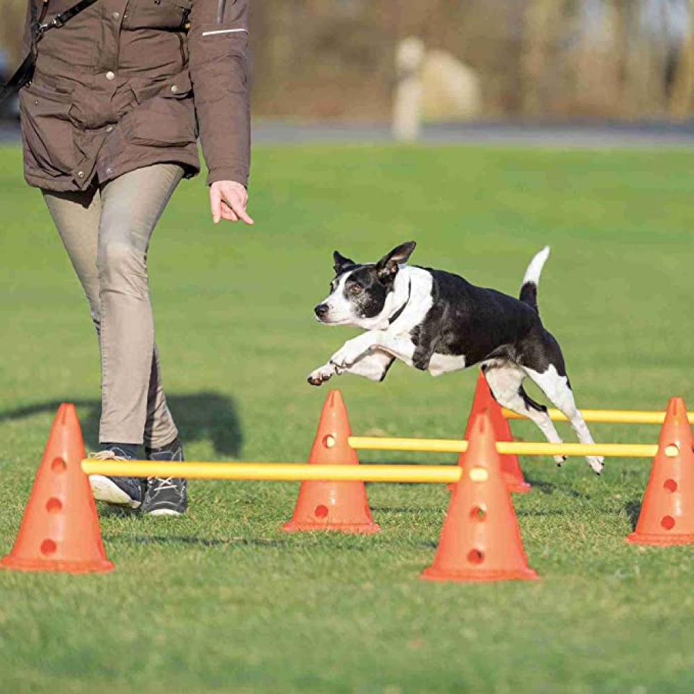 Trixie Dog Agility Obstacles for Dogs