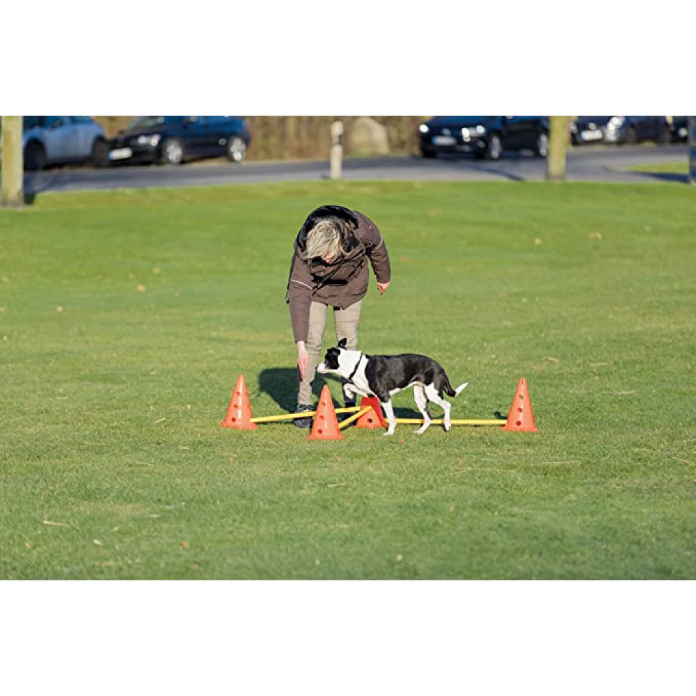 Trixie Dog Agility Obstacles for Dogs