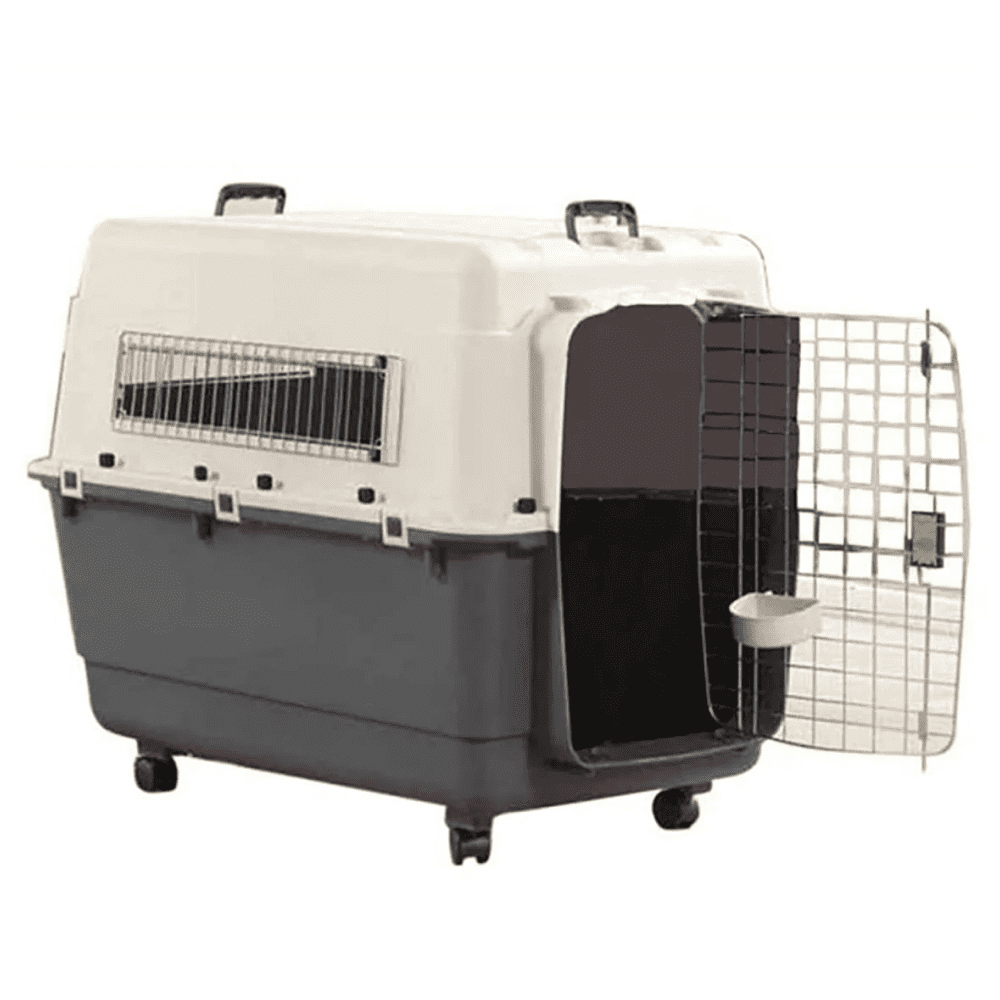 Savic Andes 5 Carrier for Pets (Ivory)