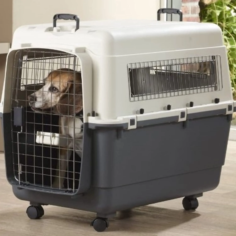 Savic Andes 5 Carrier for Pets (Ivory)