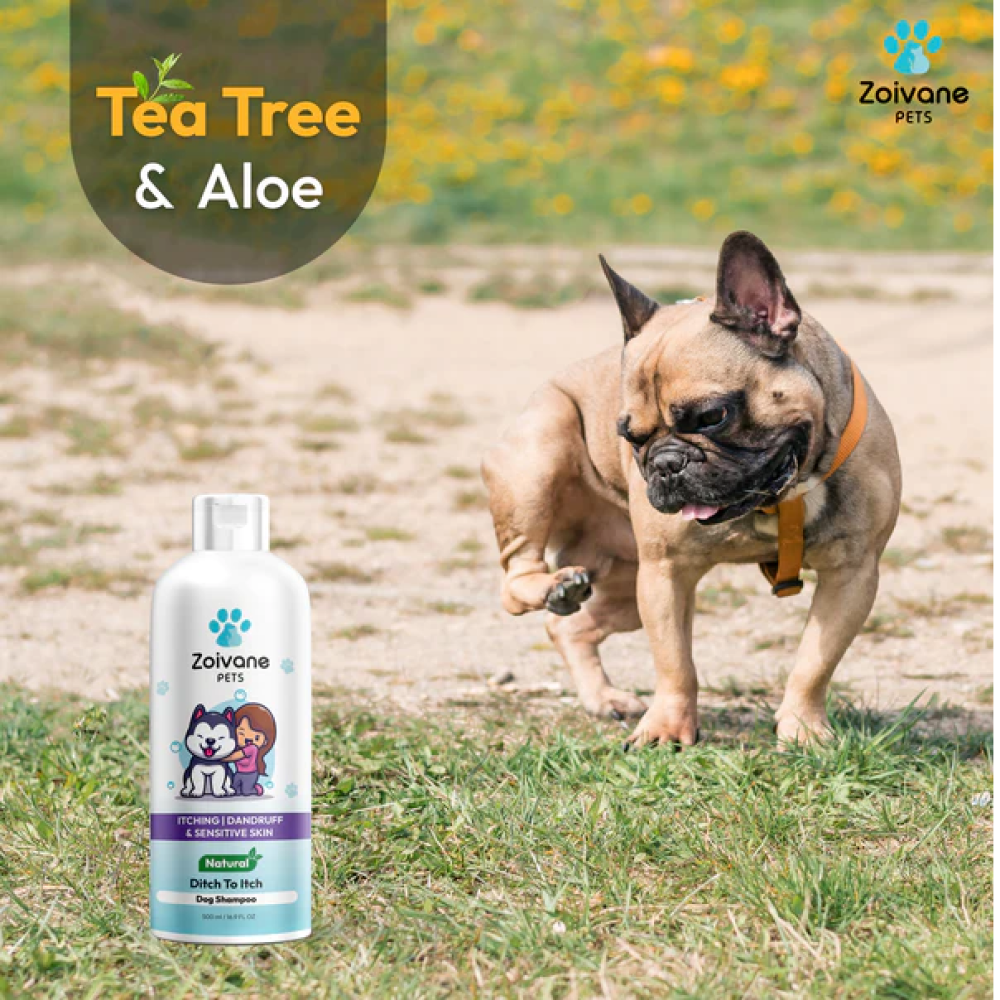 Zoivane Ditch No Itch Shampoo for Dogs (Tea Tree & Aloe)