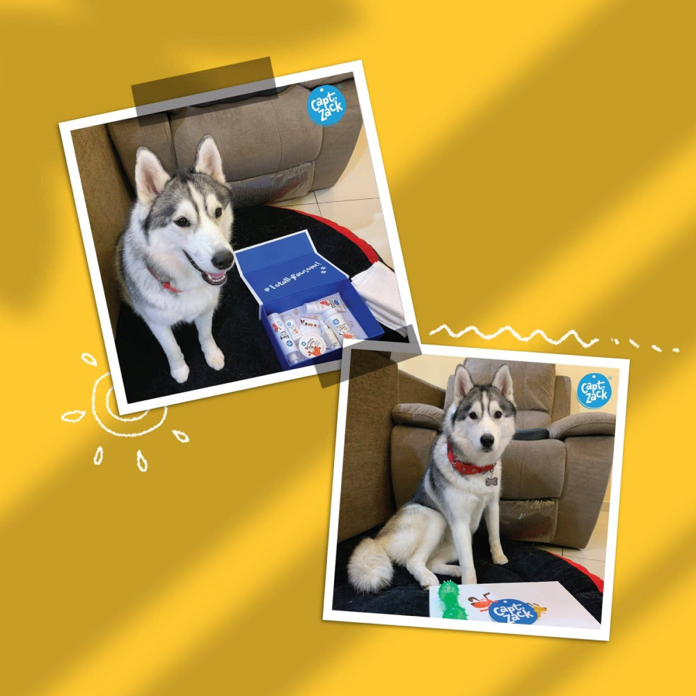 Captain Zack The Husky Groom Box