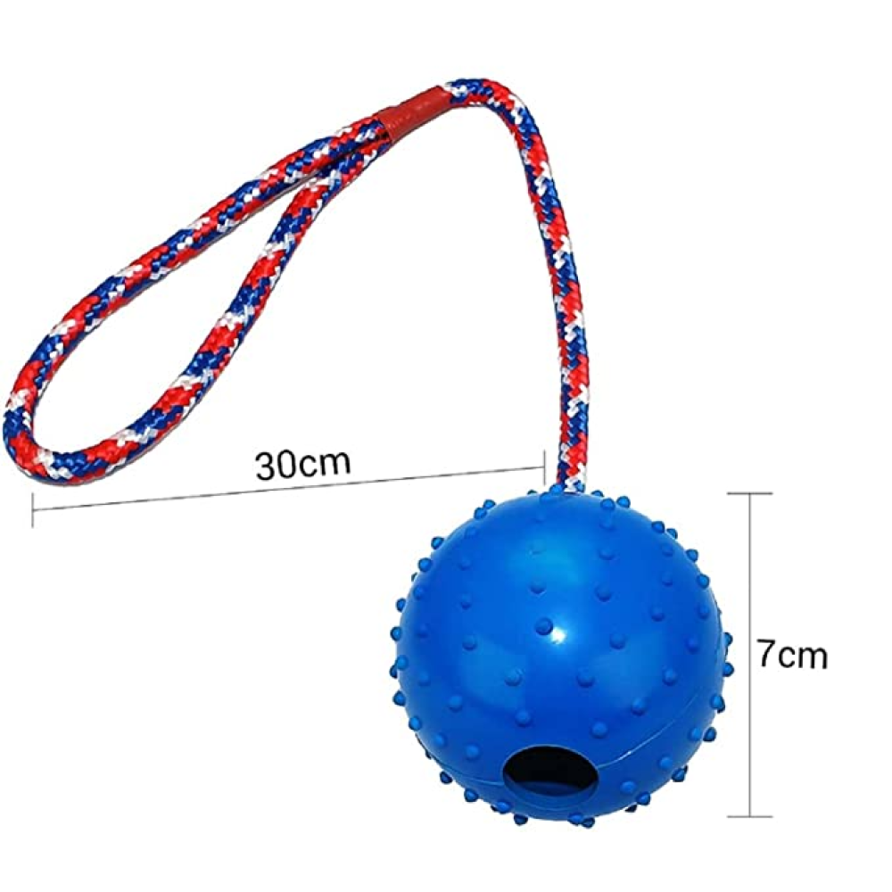 Emily Pets Rubber Ball with Rope Chew Toy for Dogs (Assorted)