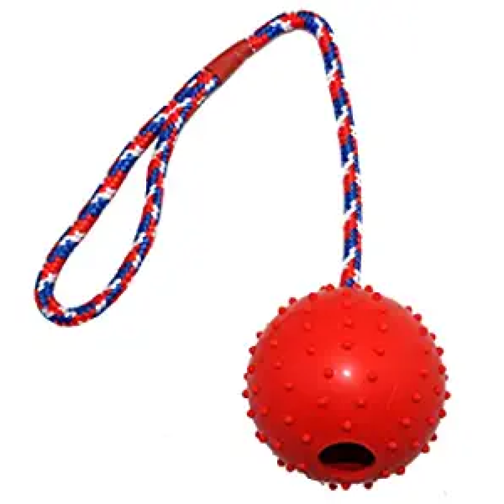 Emily Pets Rubber Ball with Rope Chew Toy for Dogs (Assorted)