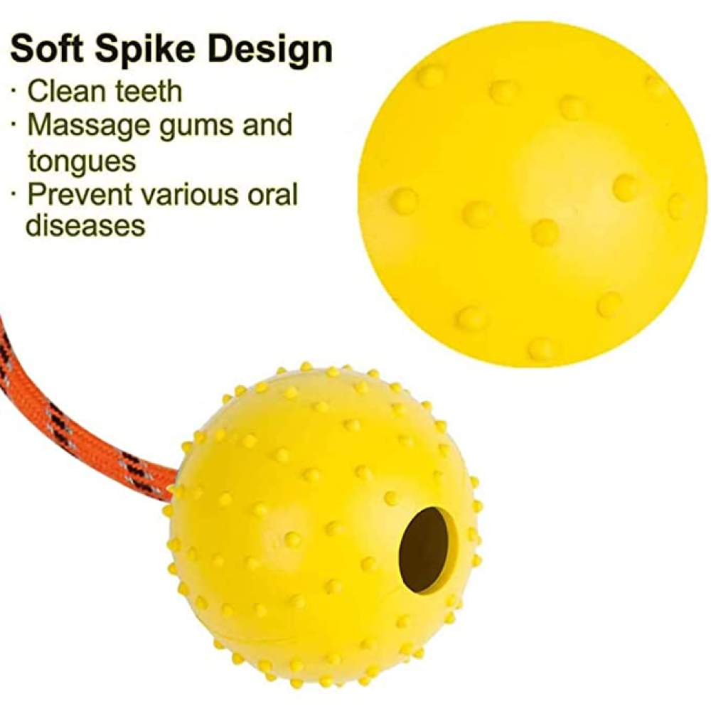 Emily Pets Rubber Ball with Rope Chew Toy for Dogs (Assorted)