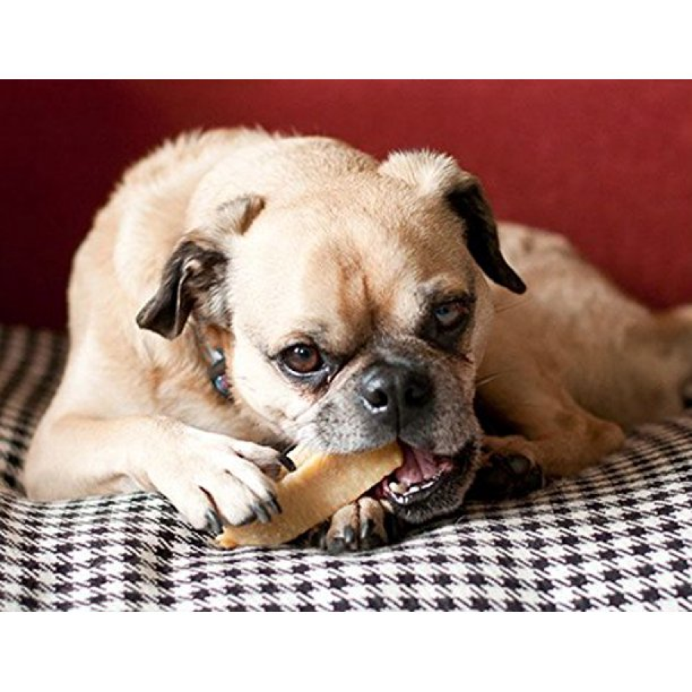Fetch n Chew Himalayan Yak Milk Chew Dog Treat