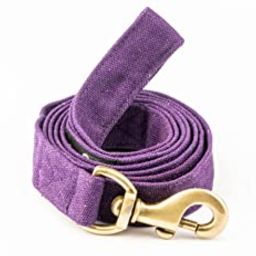 FurBuddies Amethyst Dream Collar & Leash Set for Dogs
