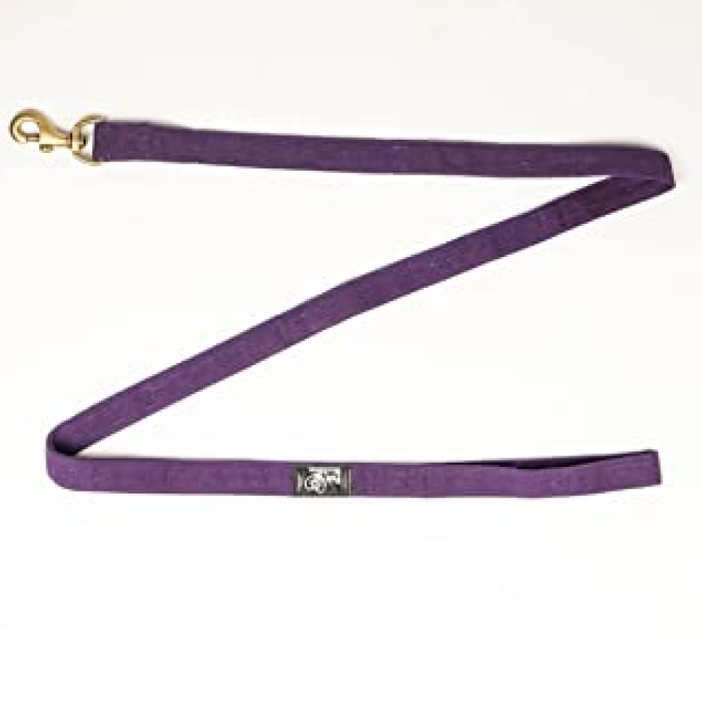 FurBuddies Amethyst Dream Collar & Leash Set for Dogs