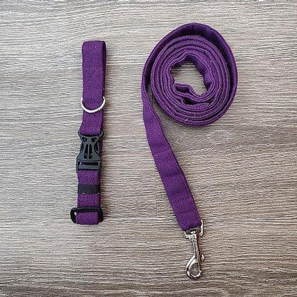 FurBuddies Amethyst Dream Collar & Leash Set for Dogs