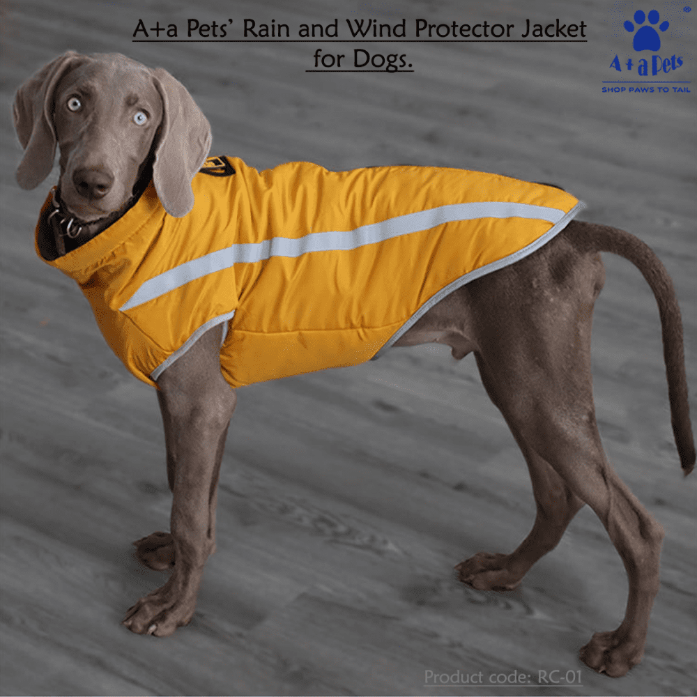 A Plus A Pets Luxurious Rain & Wind Protector Jacket For Dogs (Yellow)