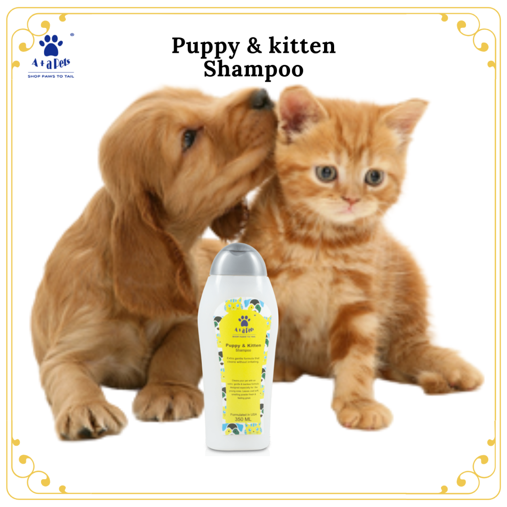 A Plus A Pets Gentle Tearless Formula Shampoo for Puppy and Kitten