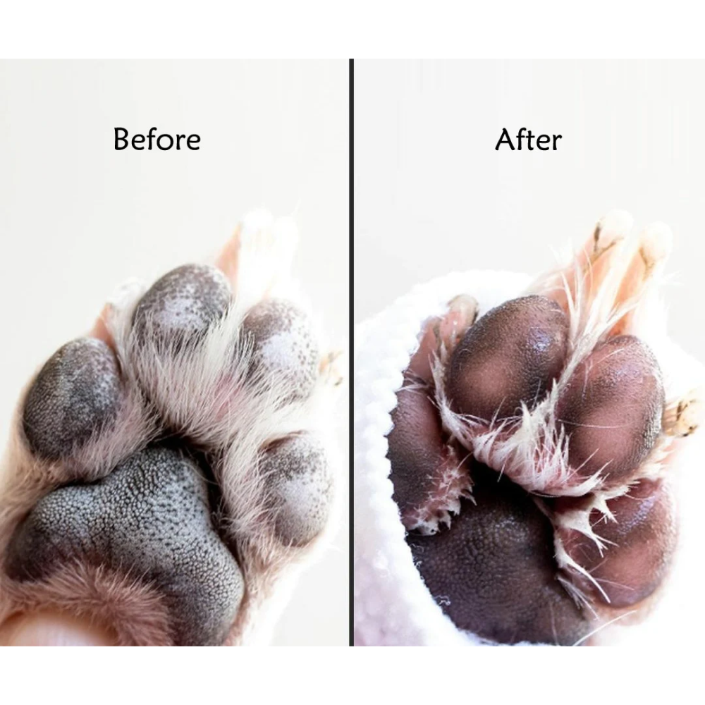 A Plus A Pets Milk Bath Water Less Shampoo for Pets (Dry Shampoo)