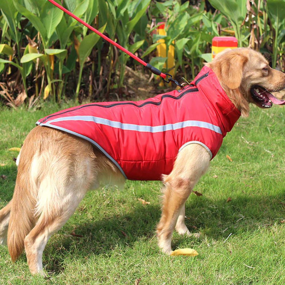 A Plus A Pets Luxurious Rain & Wind Protector Jacket For Dogs (Red)