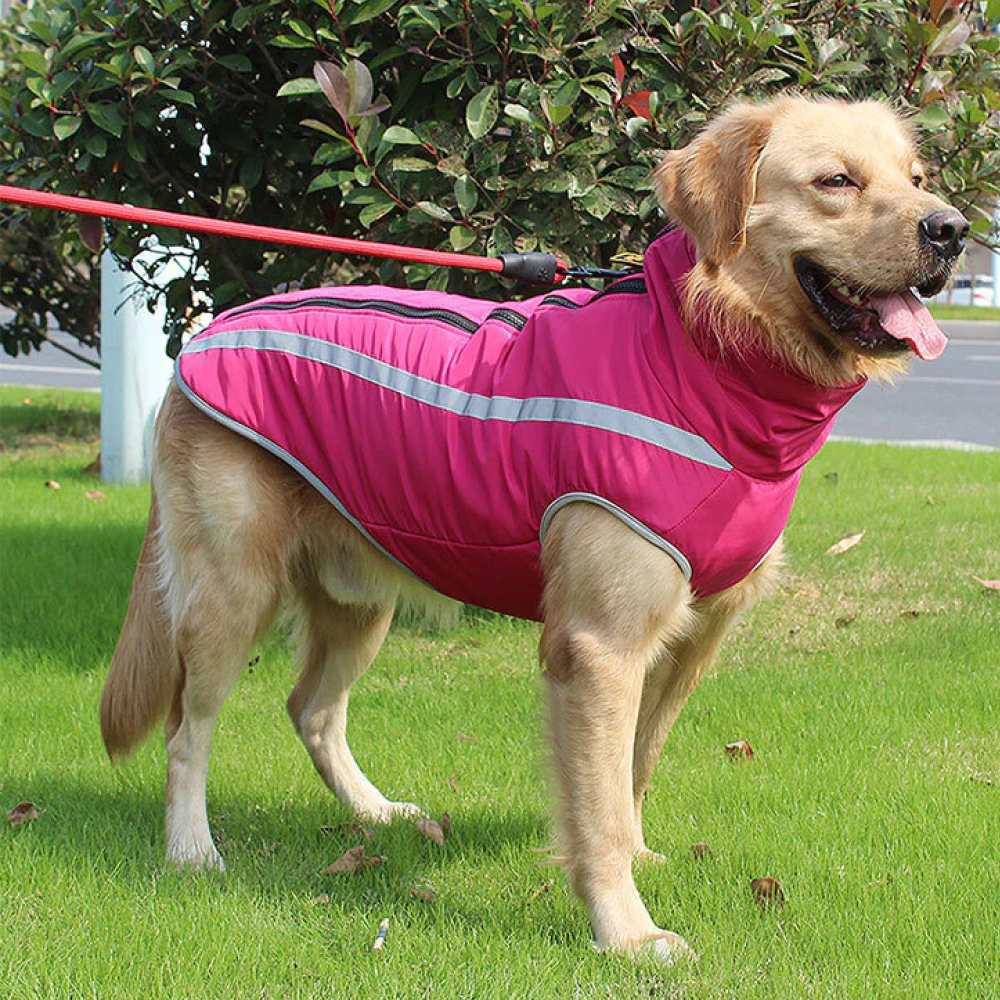 A Plus A Pets Luxurious Rain & Wind Protector Jacket For Dogs (Pink)