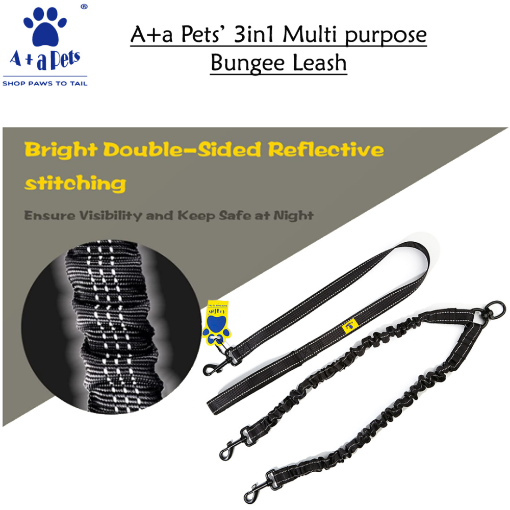 A Plus A Pets 3in1 Multi Purpose Bungee Leash for 2 Dogs (Green)
