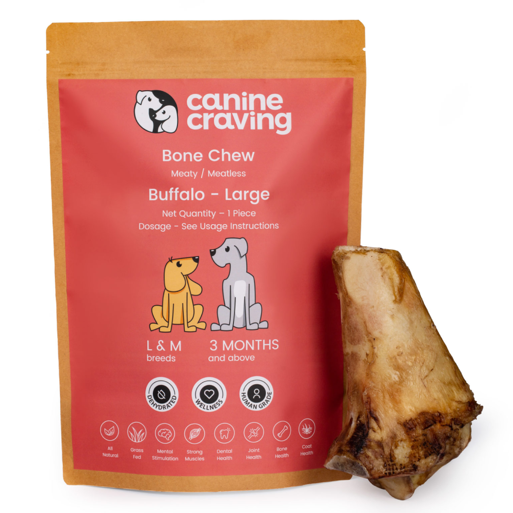 Canine Craving Dehydrated Grass-Fed Meatless Buffalo Bone Dog Treat