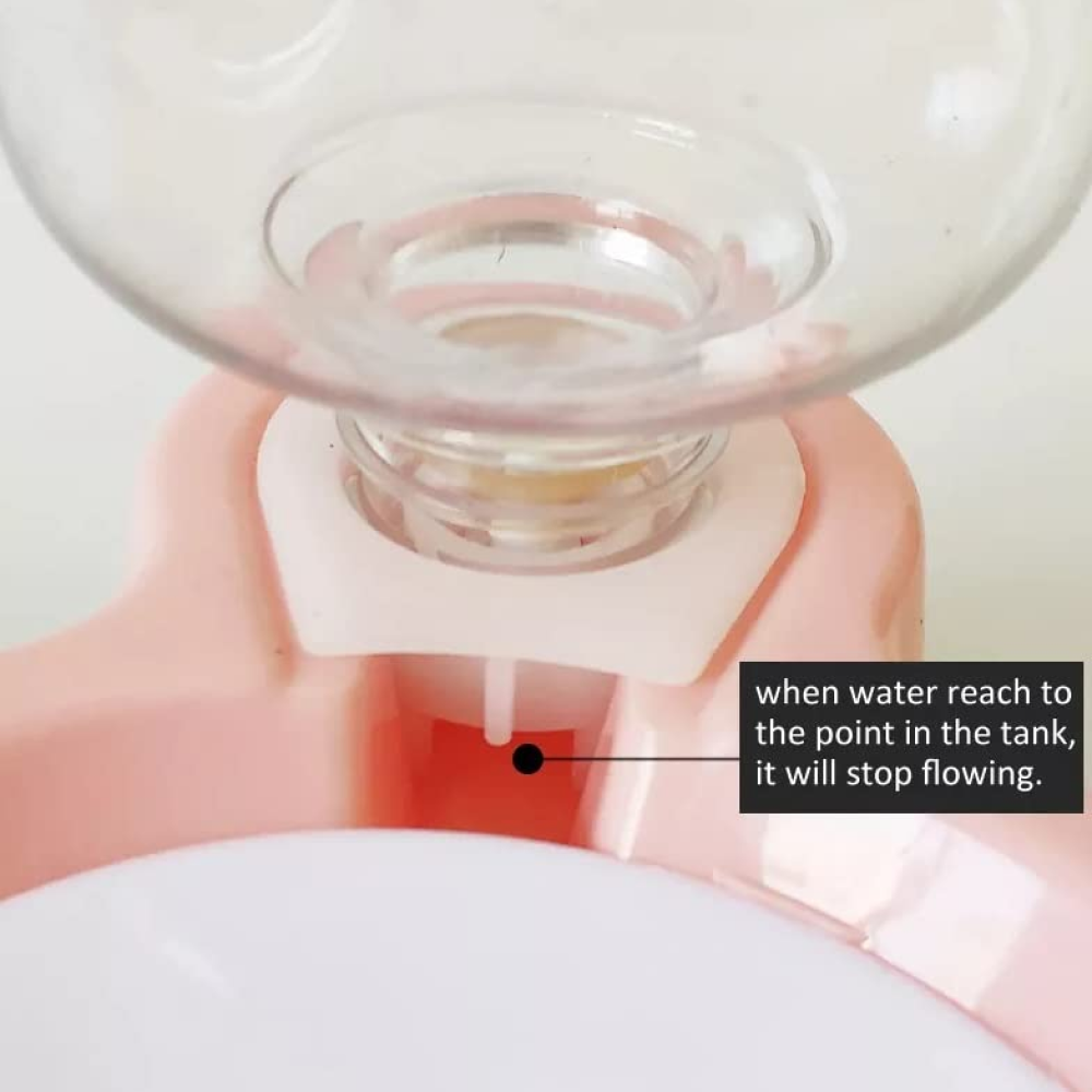 PetGains 2-in-1 Automatic Food and Water Dispenser for Pets