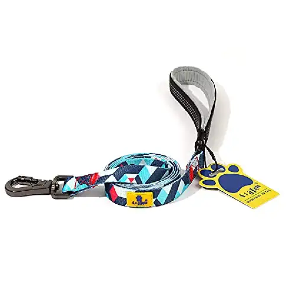 A Plus A Click & Lock Hook Geometric Design Leash for Dogs