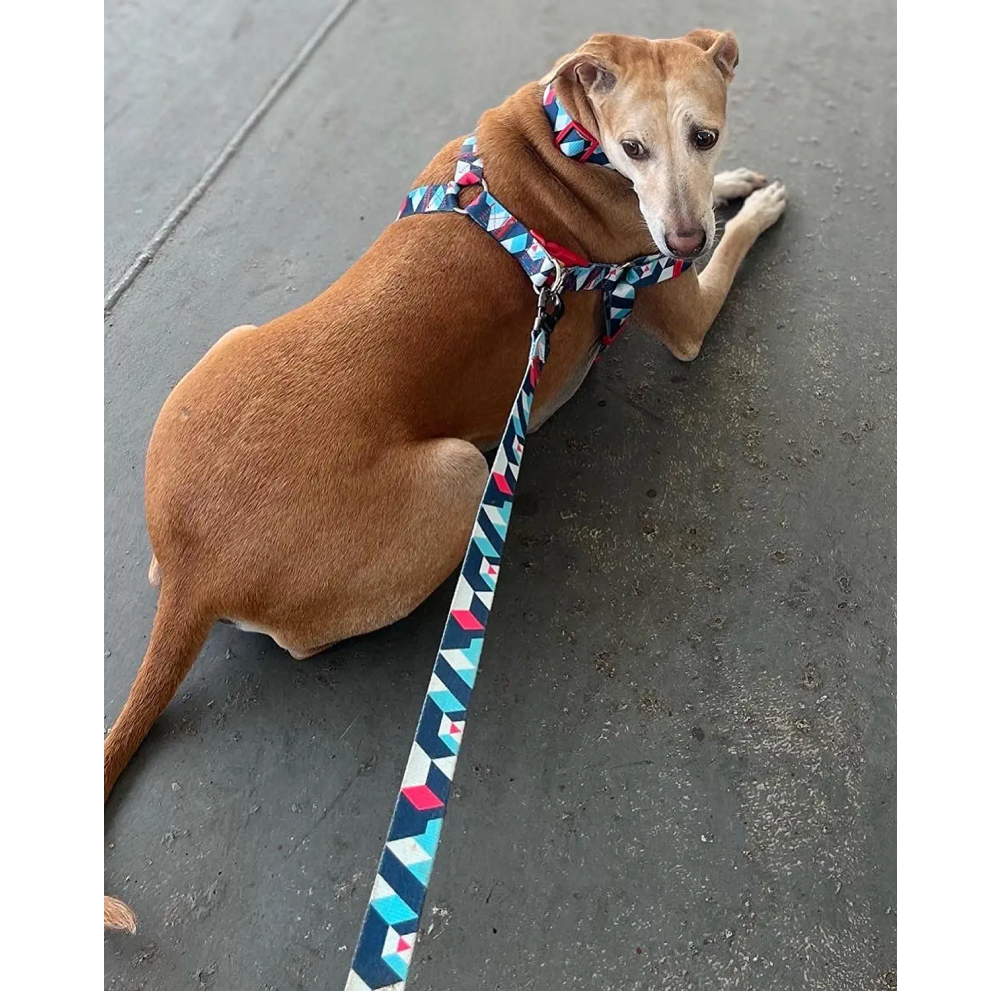 A Plus A Click & Lock Hook Geometric Design Leash for Dogs
