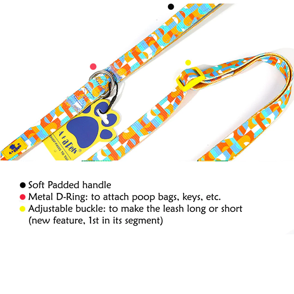 A Plus A Click & Lock Hook Tetris Design Leash for Pets