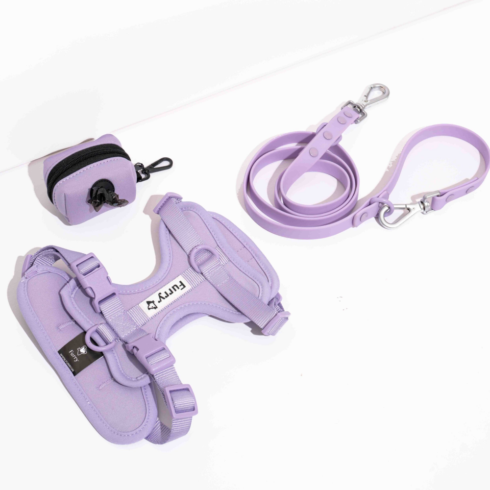 Furry & Co Harness, Collar and Leash Combo for Dogs (Lilac)