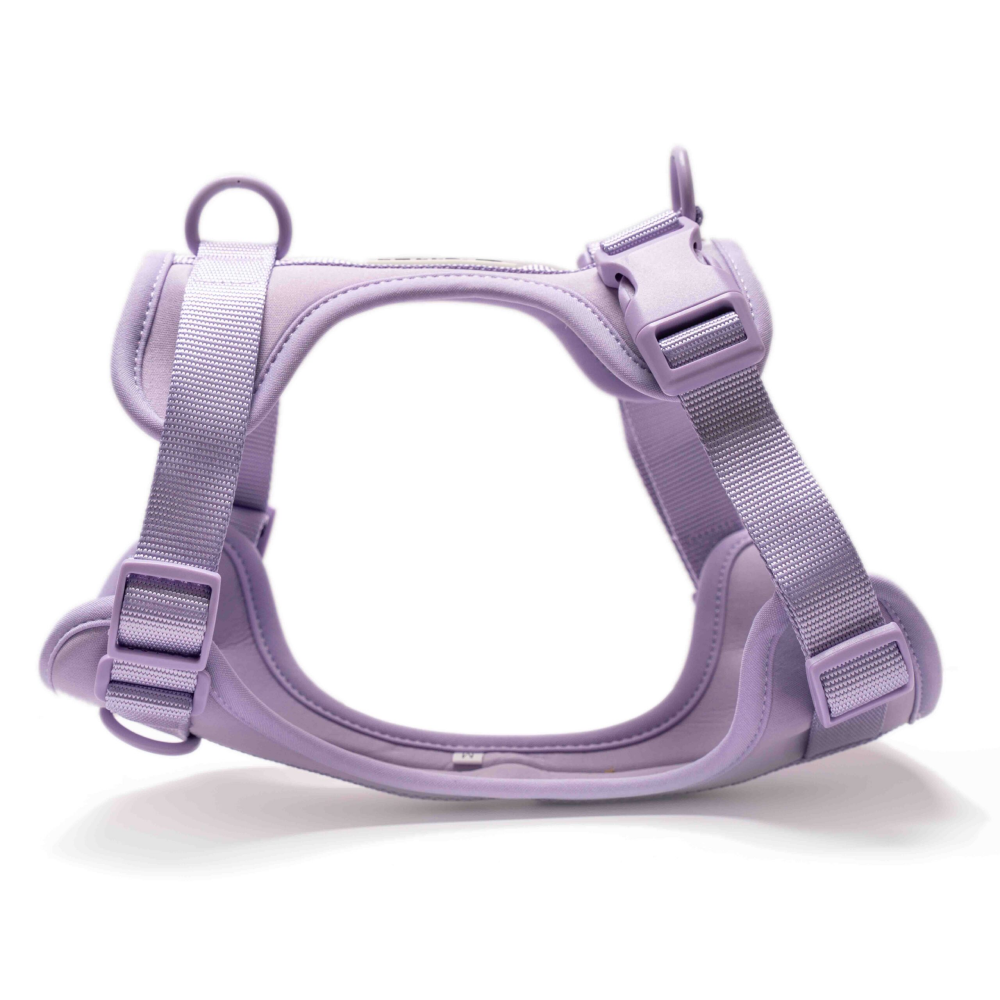 Furry & Co Harness, Collar and Leash Combo for Dogs (Lilac)