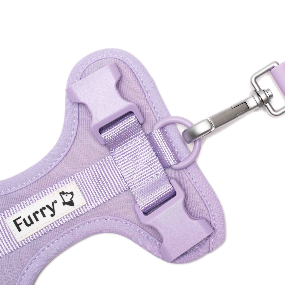 Furry & Co Harness, Collar and Leash Combo for Dogs (Lilac)
