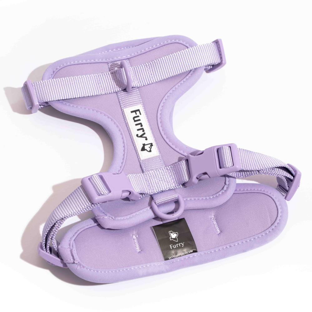 Furry & Co Harness, Collar and Leash Combo for Dogs (Lilac)