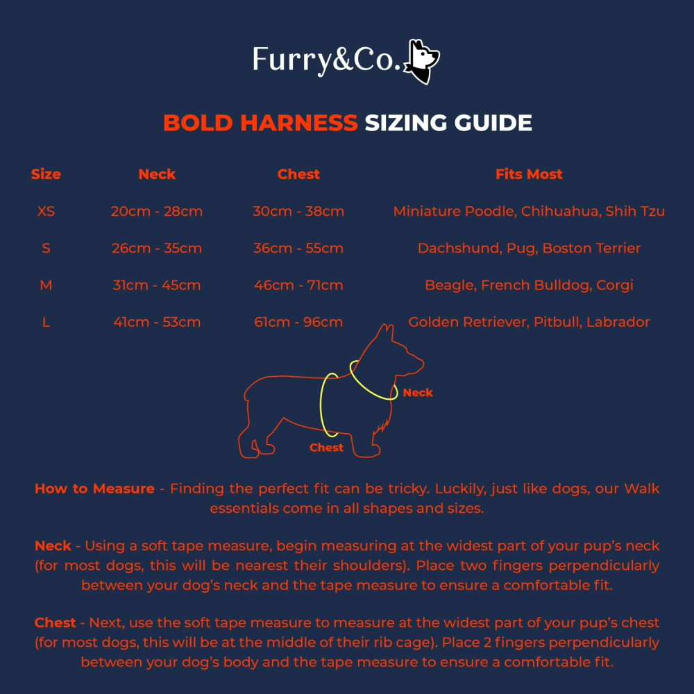 Furry & Co Harness, Collar and Leash Combo for Dogs (Lilac)