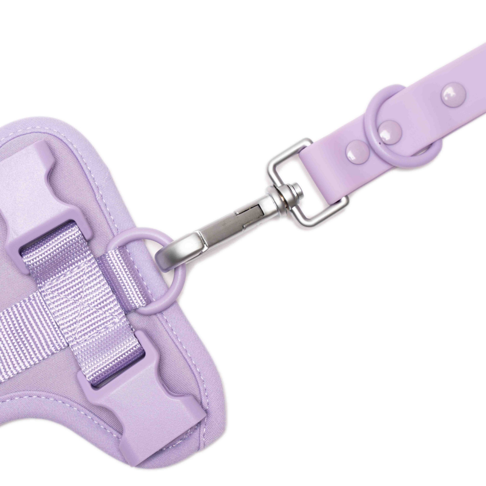 Furry & Co Harness, Collar and Leash Combo for Dogs (Lilac)
