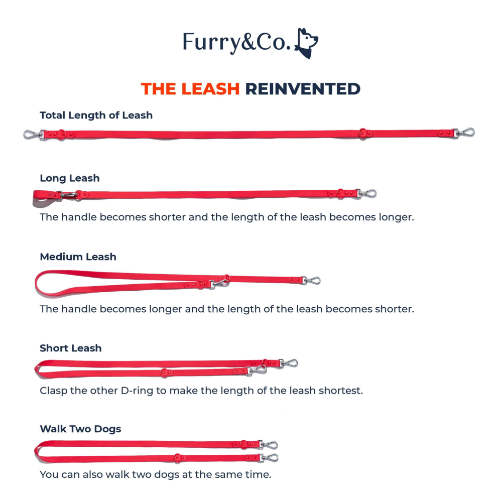 Furry & Co Harness, Collar and Leash Combo for Dogs (Lilac)