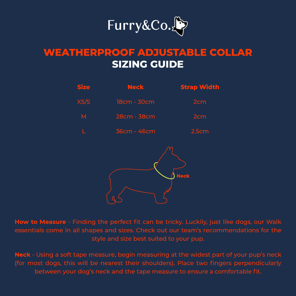 Furry & Co Mango Bold Collar for Dogs