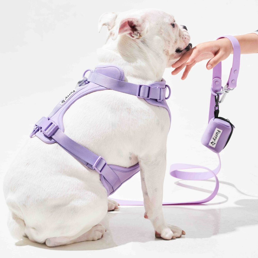 Furry & Co Poop Bag Holder for Dogs