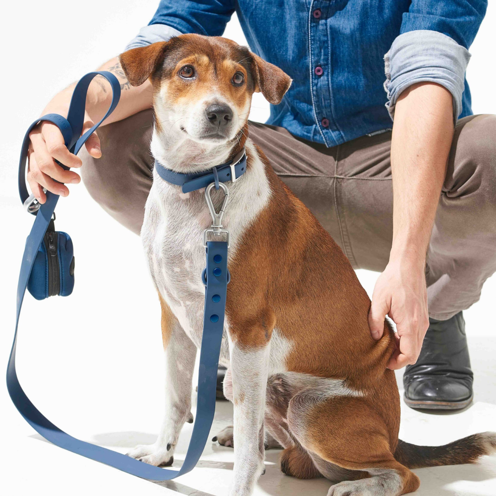 Furry & Co Poop Bag Holder for Dogs
