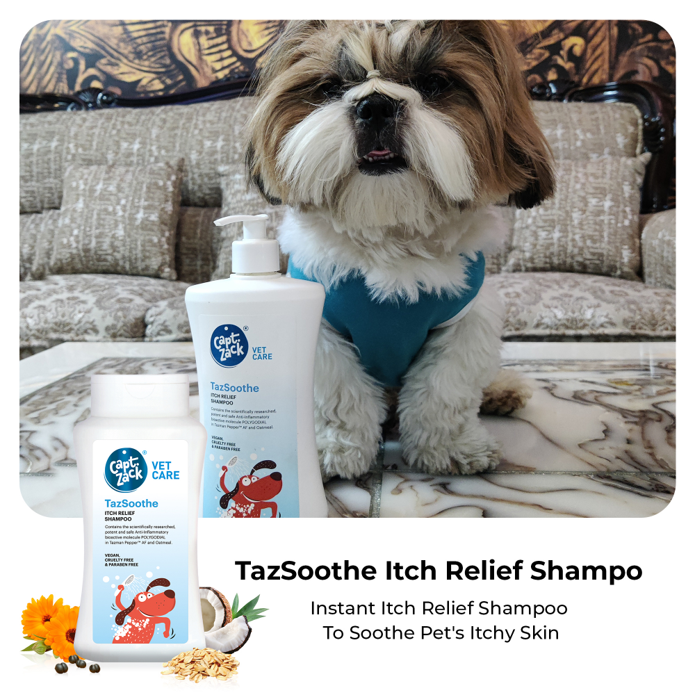 Captain Zack TazSoothe Itch Relief Shampoo for Dogs