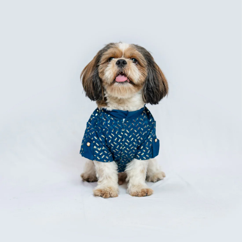 Pawgypets Festive Shirt for Pets (Blue)