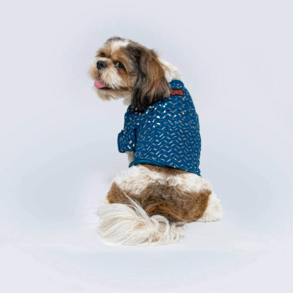 Pawgypets Festive Shirt for Pets (Blue)