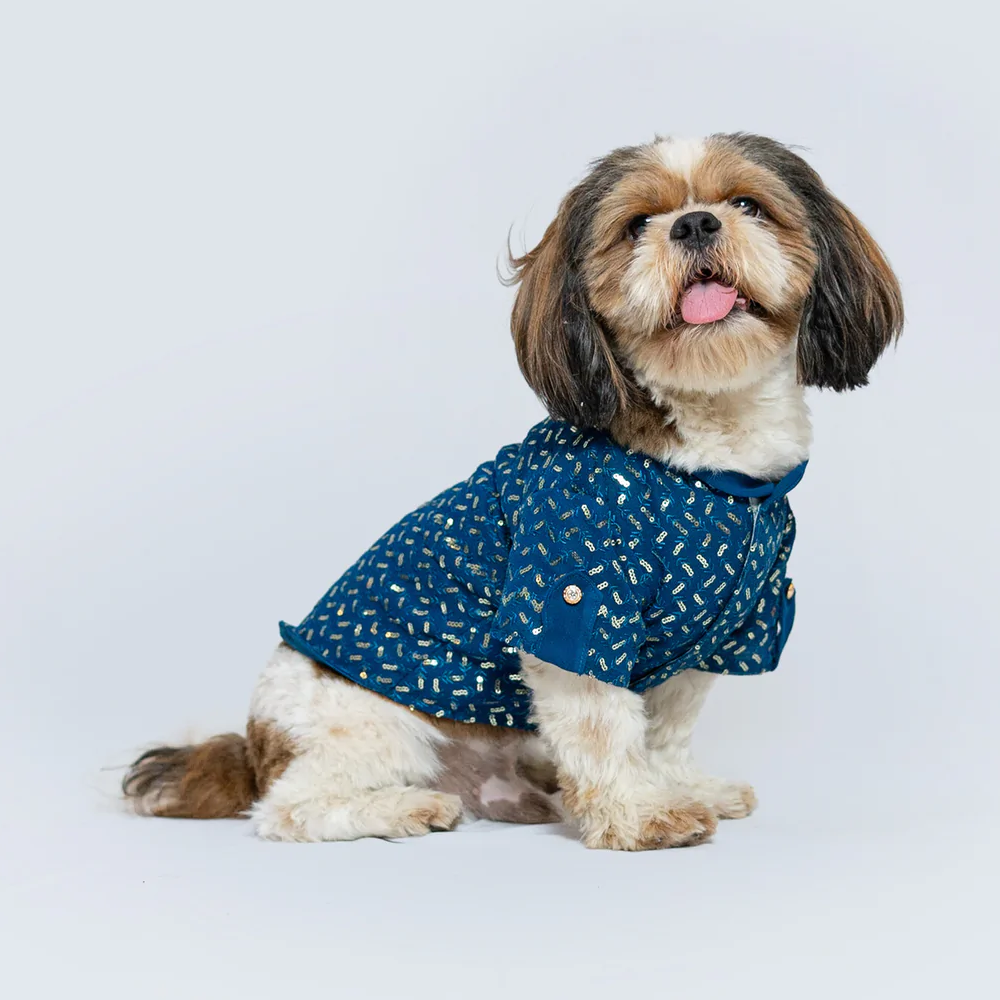 Pawgypets Festive Shirt for Pets (Blue)