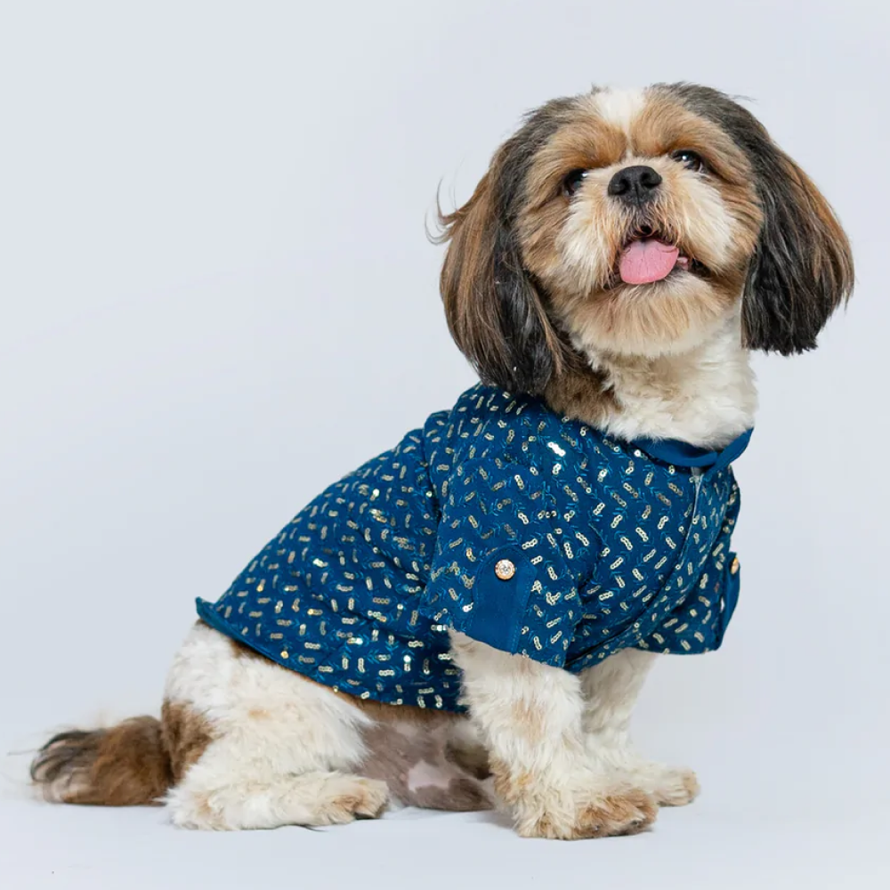 Pawgypets Festive Shirt for Pets (Blue)