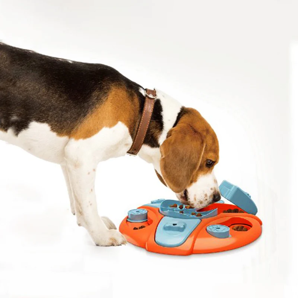 Goofy Tails Puzzle Toy for Dogs