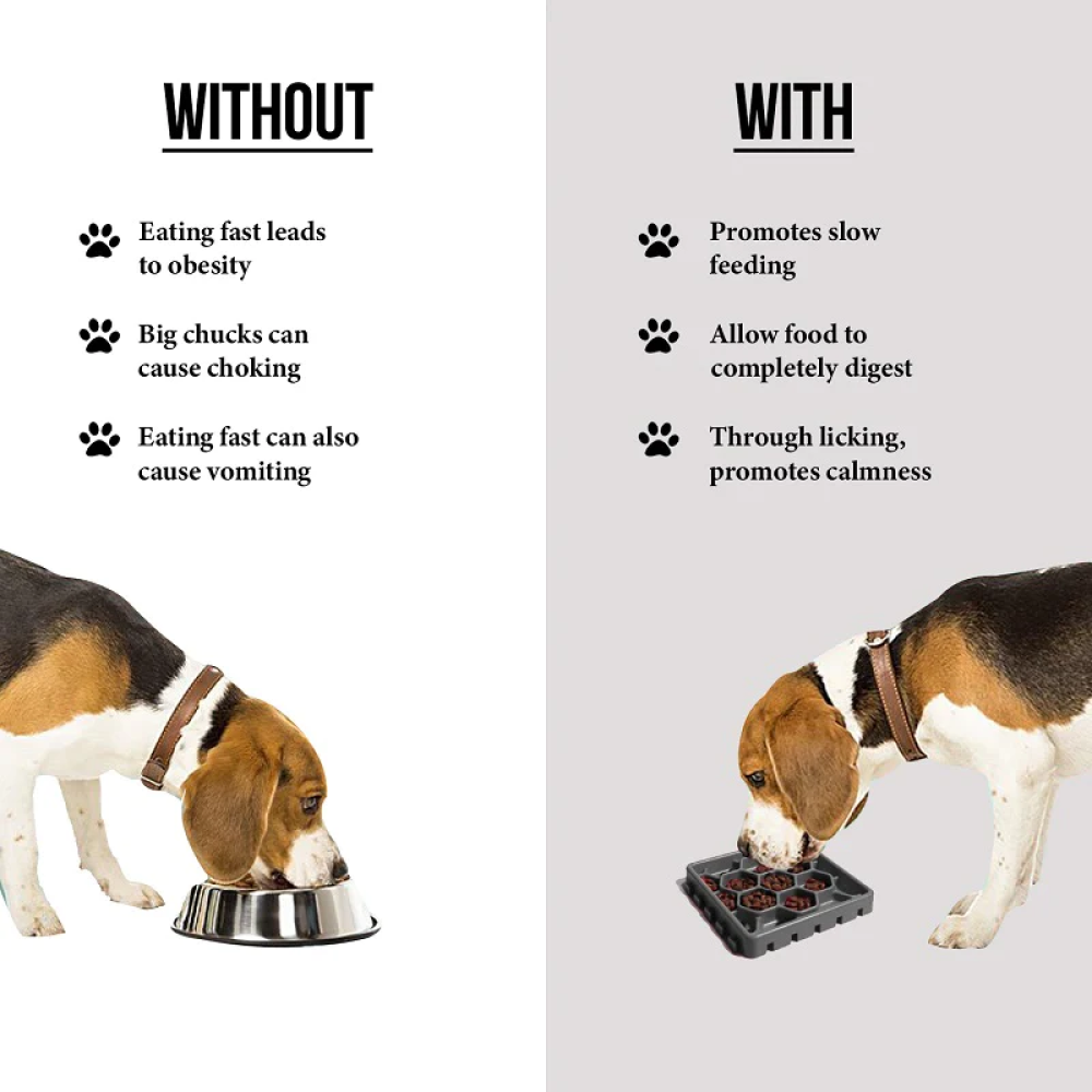 Goofy Tails Lick Mats & Slow Feeder for Pets (Dogs & Cats)