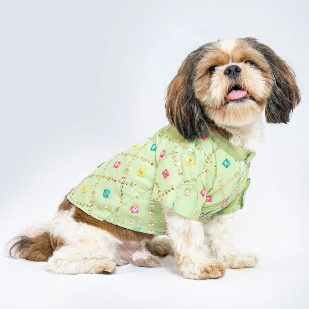 Pawgypets Festive Shirt for Pets (Pista Green)
