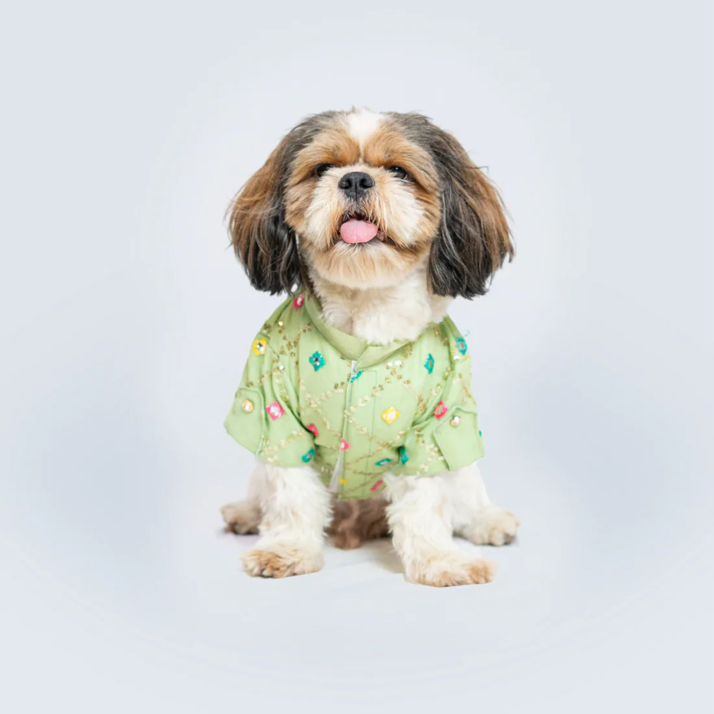 Pawgypets Festive Shirt for Pets (Pista Green)