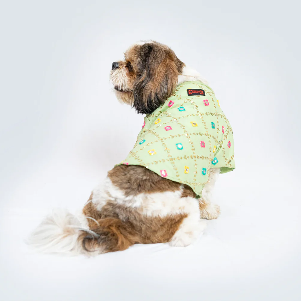 Pawgypets Festive Shirt for Pets (Pista Green)
