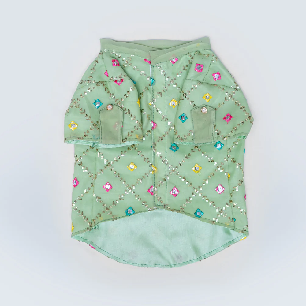 Pawgypets Festive Shirt for Pets (Pista Green)