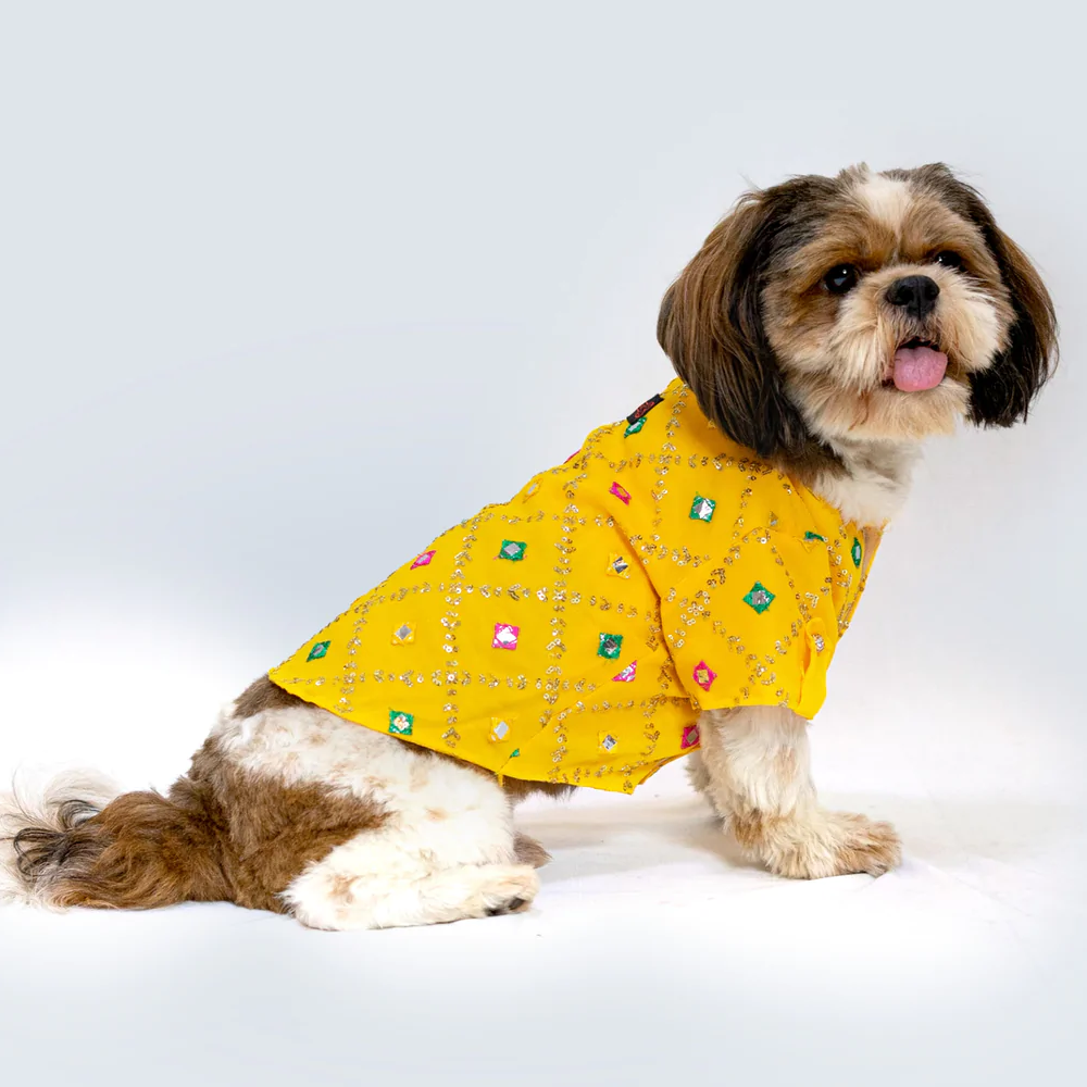 Pawgypets Festive Shirt for Pets (Yellow)