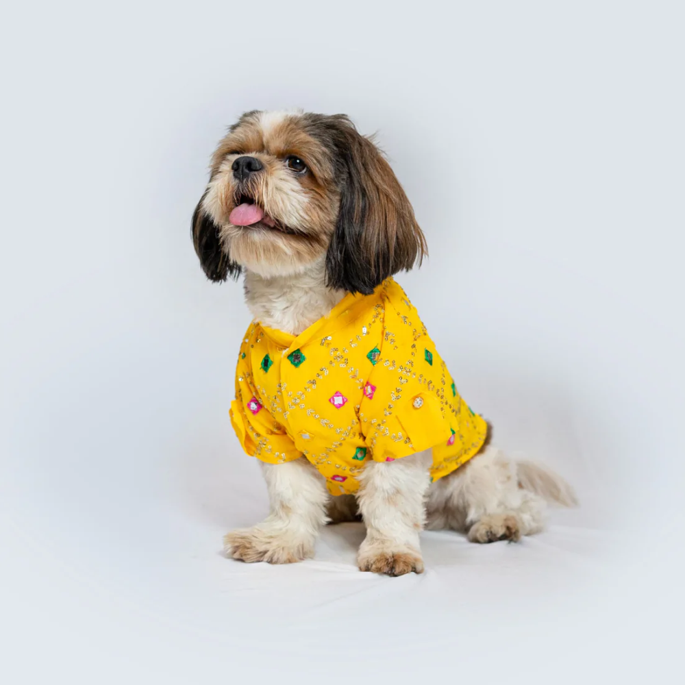 Pawgypets Festive Shirt for Pets (Yellow)