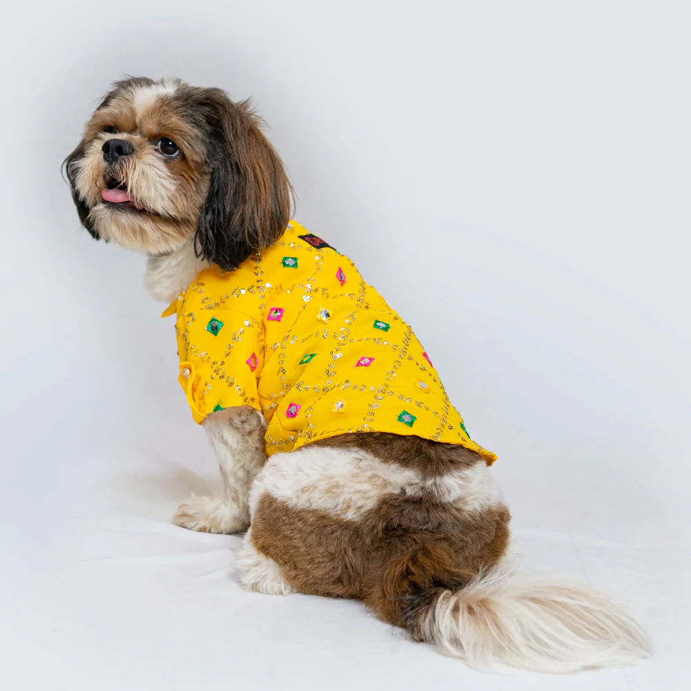 Pawgypets Festive Shirt for Pets (Yellow)