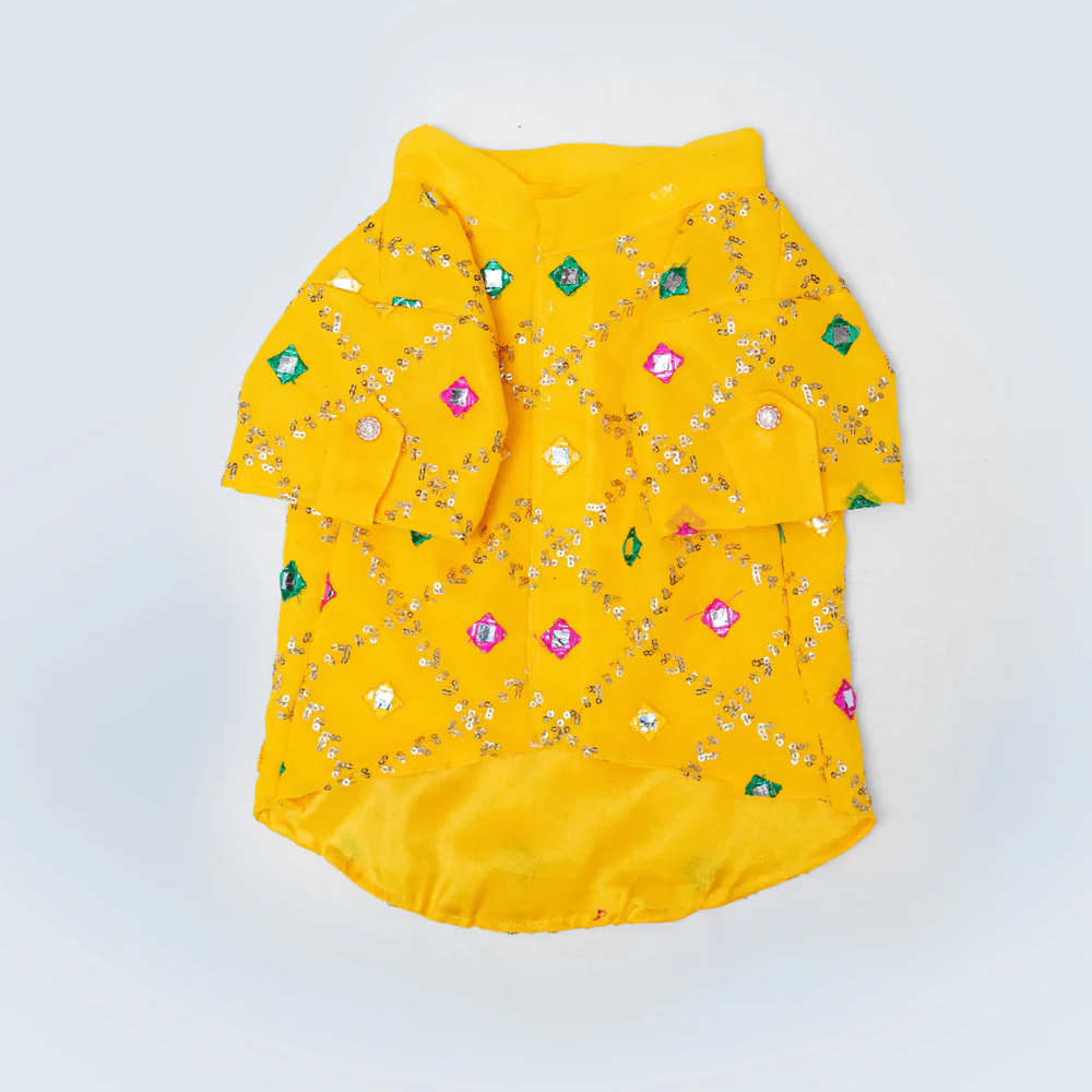 Pawgypets Festive Shirt for Pets (Yellow)